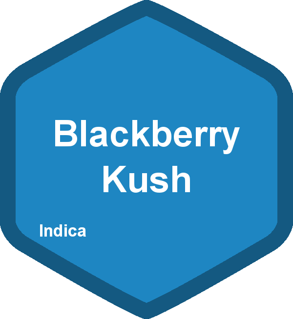 Blackberry Kush