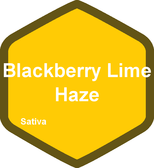 Blackberry Lime Haze