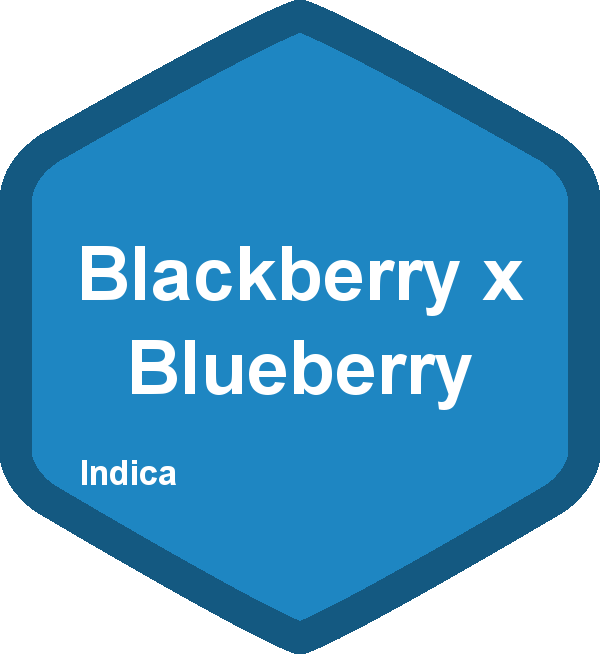 Blackberry x Blueberry