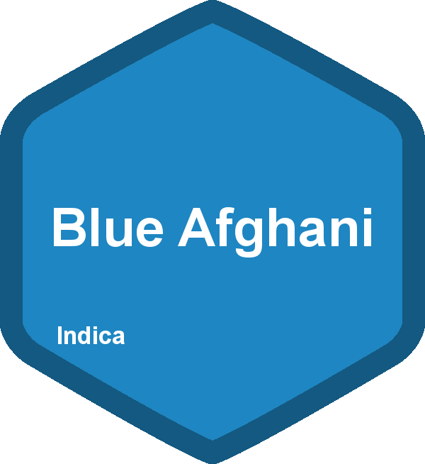 Blue Afghani