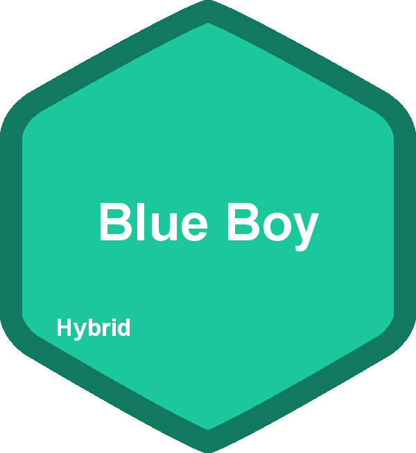 Blue Boy