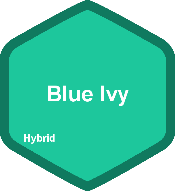 Blue Ivy