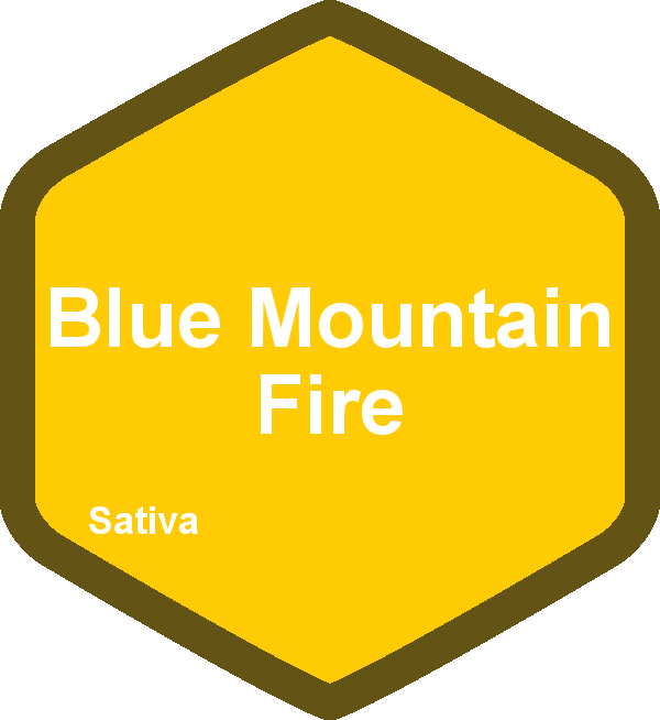 Blue Mountain Fire