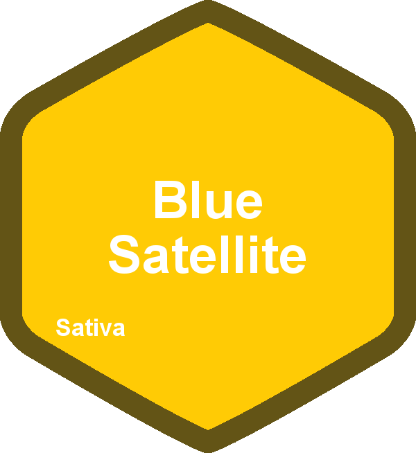 Blue Satellite