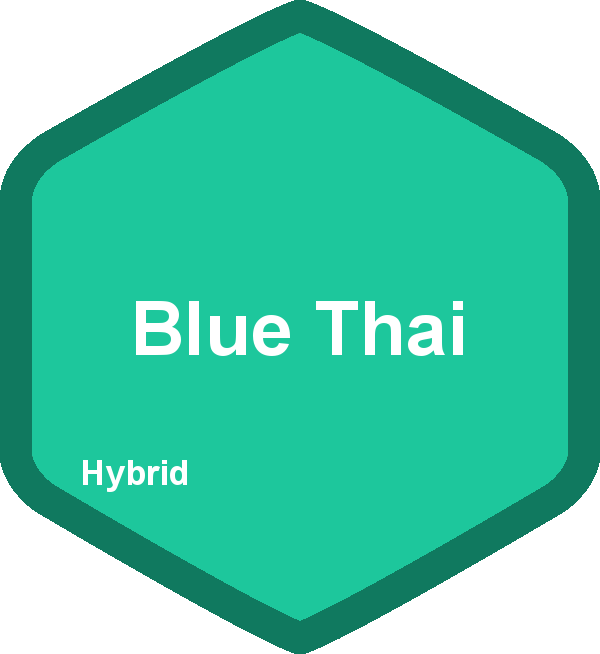 Blue Thai