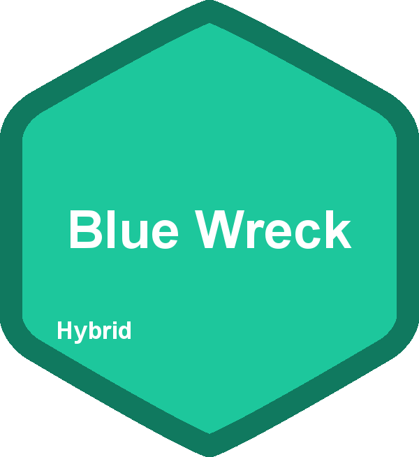 Blue Wreck