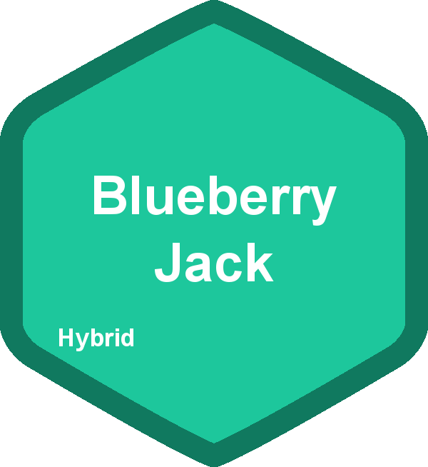 Blueberry Jack