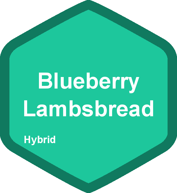 Blueberry Lambsbread