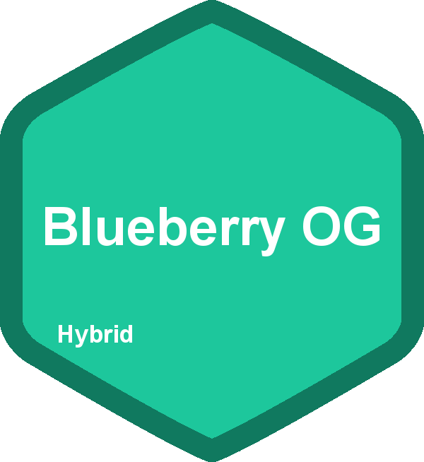 Blueberry OG