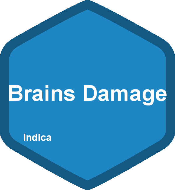 Brains Damage