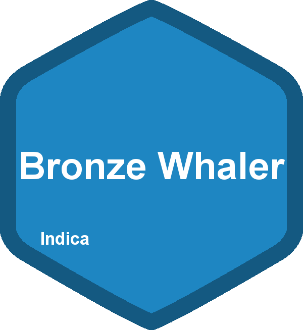 Bronze Whaler