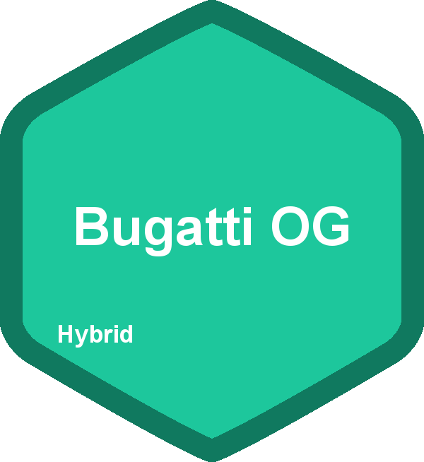 Bugatti OG