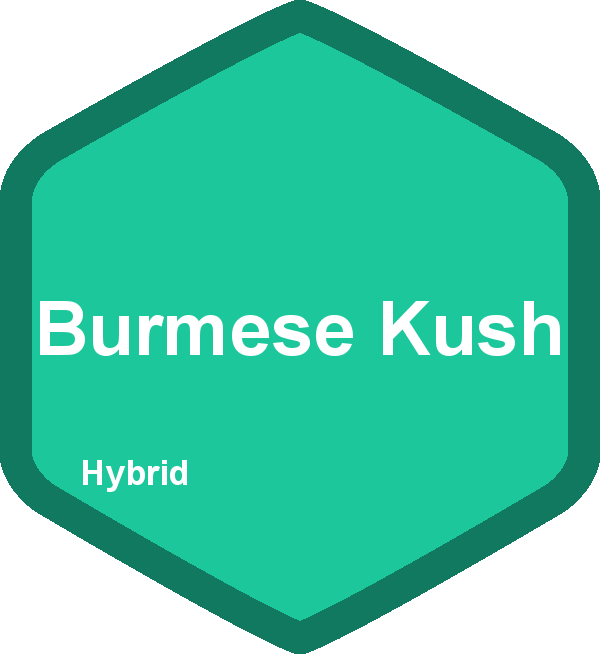 Burmese Kush