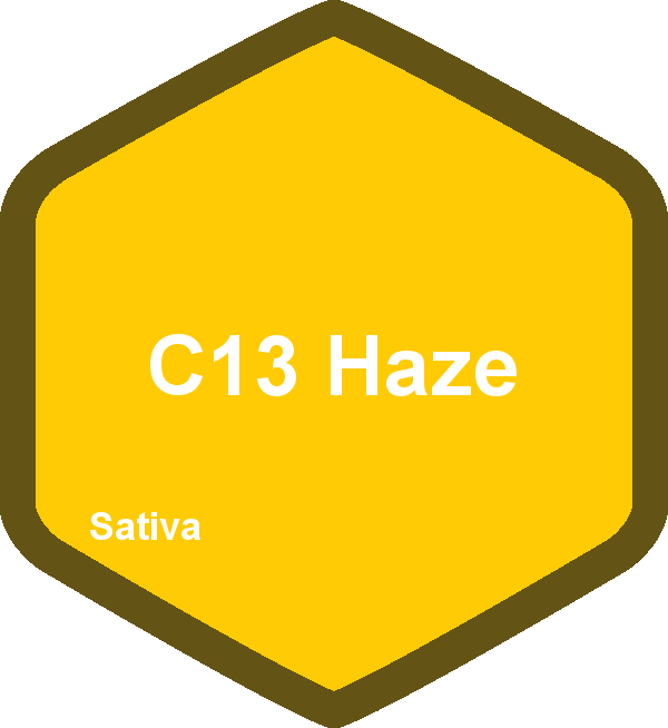 C13 Haze