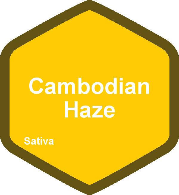 Cambodian Haze