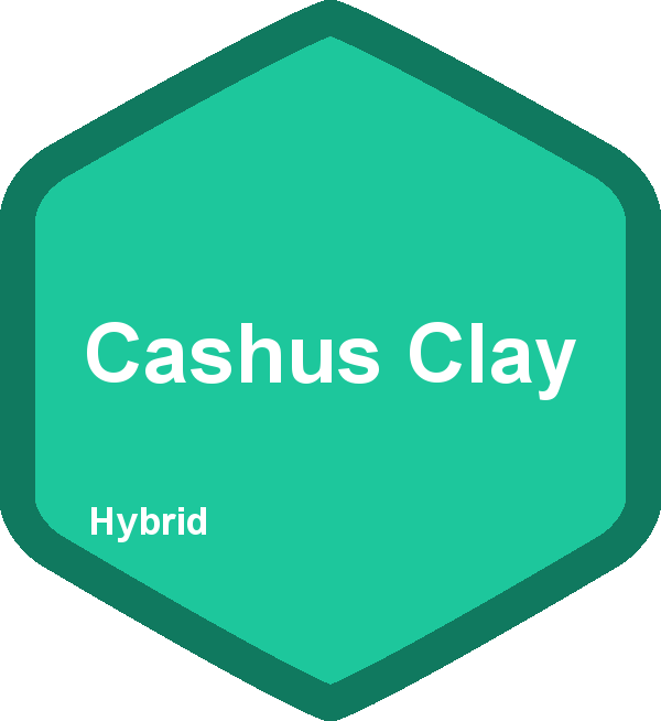 Cashus Clay
