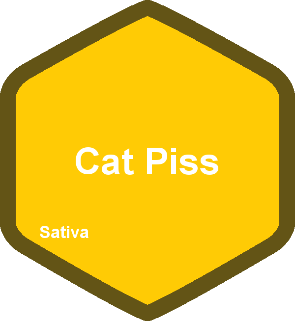 Cat Piss