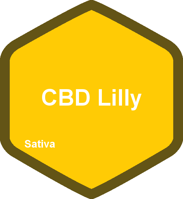CBD Lilly