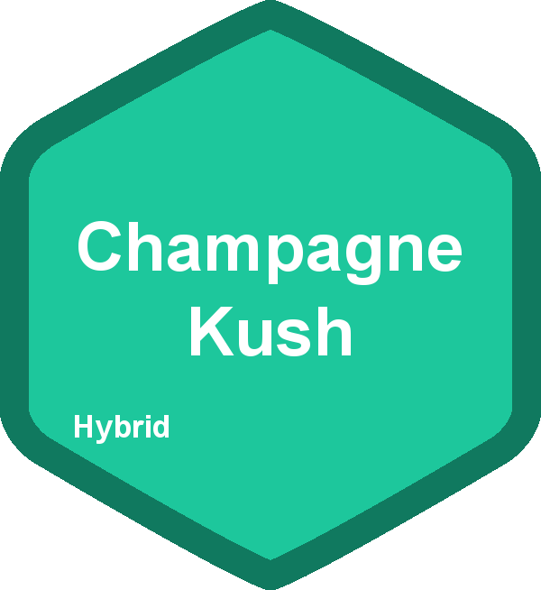 Champagne Kush