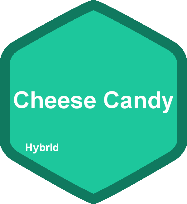 Cheese Candy