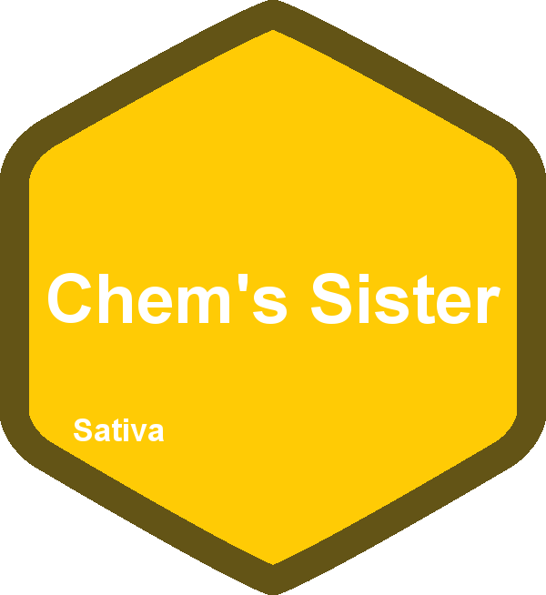 Chem's Sister