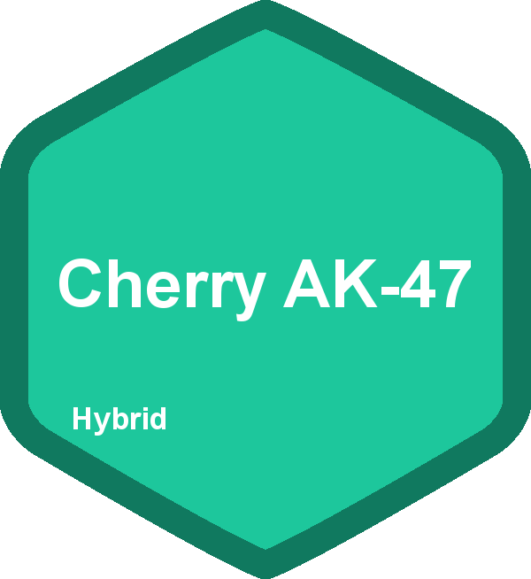Cherry AK-47