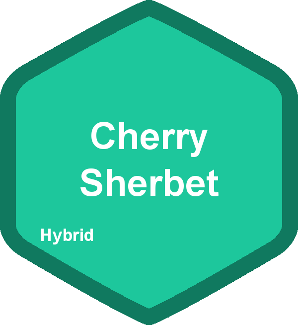 Cherry Sherbet
