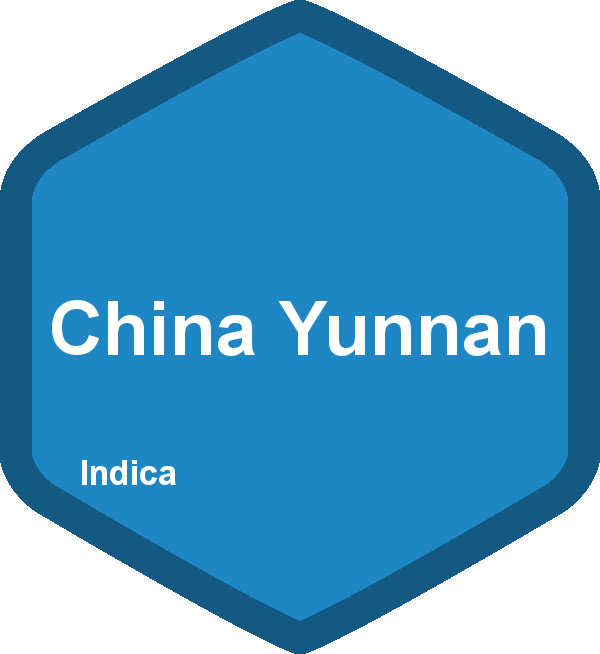 China Yunnan