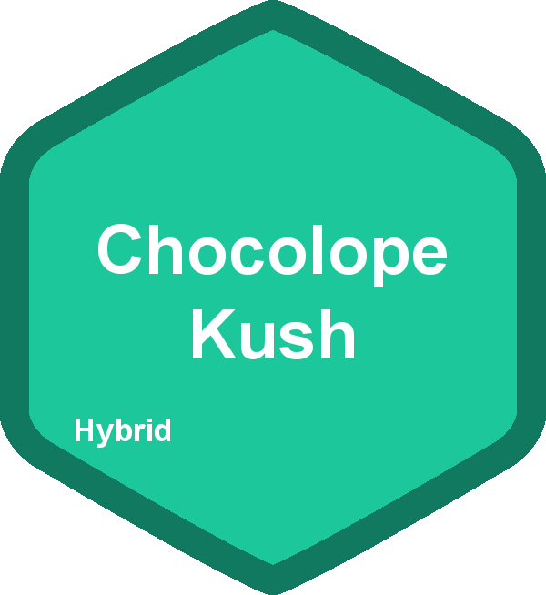 Chocolope Kush