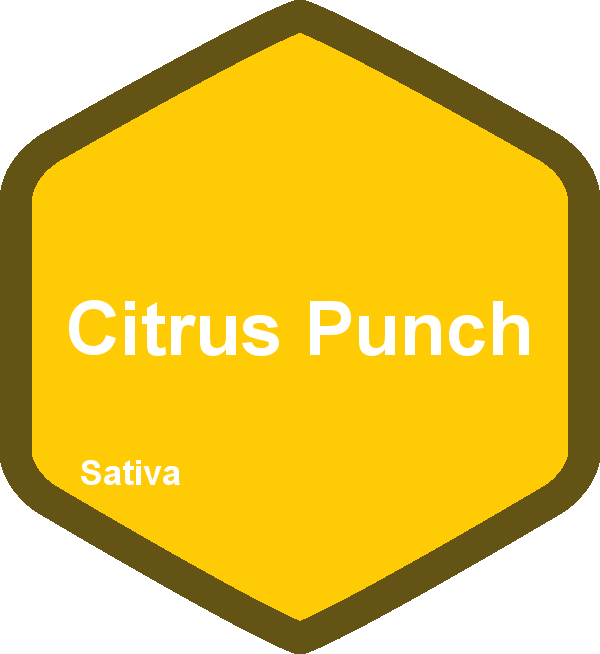 Citrus Punch