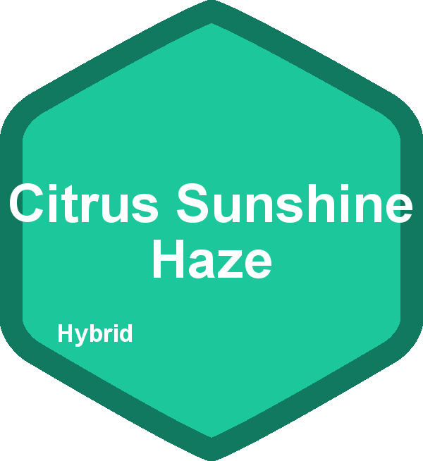 Citrus Sunshine Haze