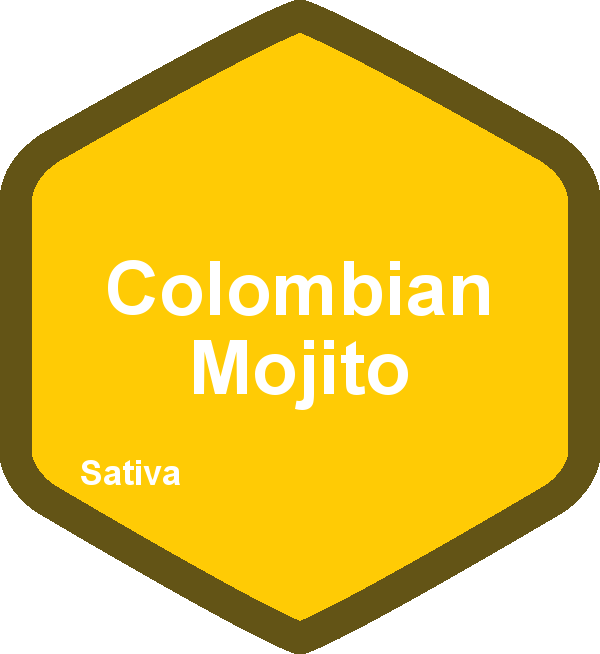 Colombian Mojito