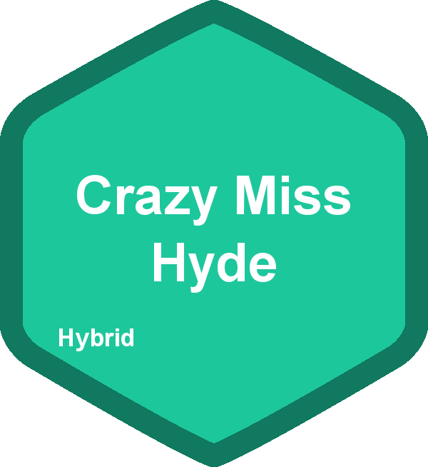 Crazy Miss Hyde