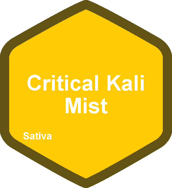 Critical Kali Mist