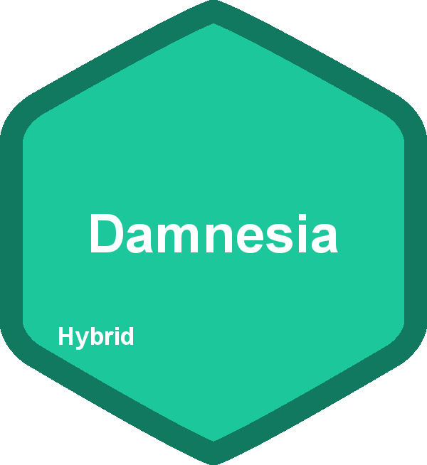 Damnesia