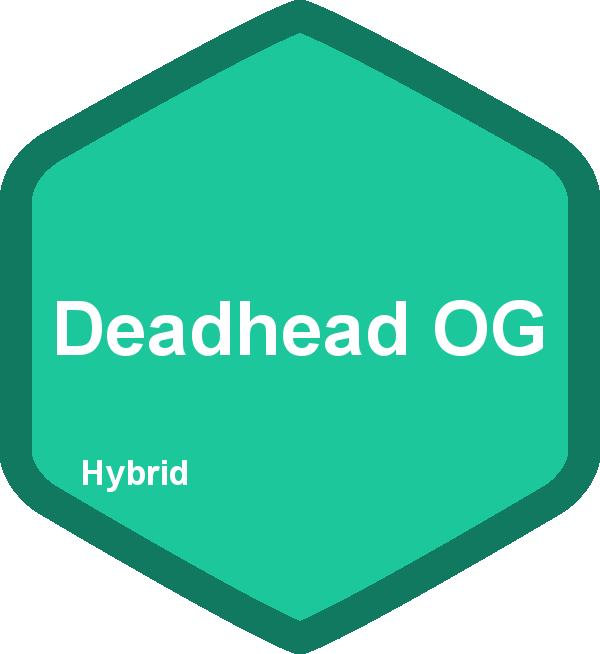 Deadhead OG
