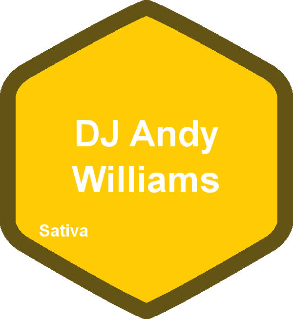 DJ Andy Williams