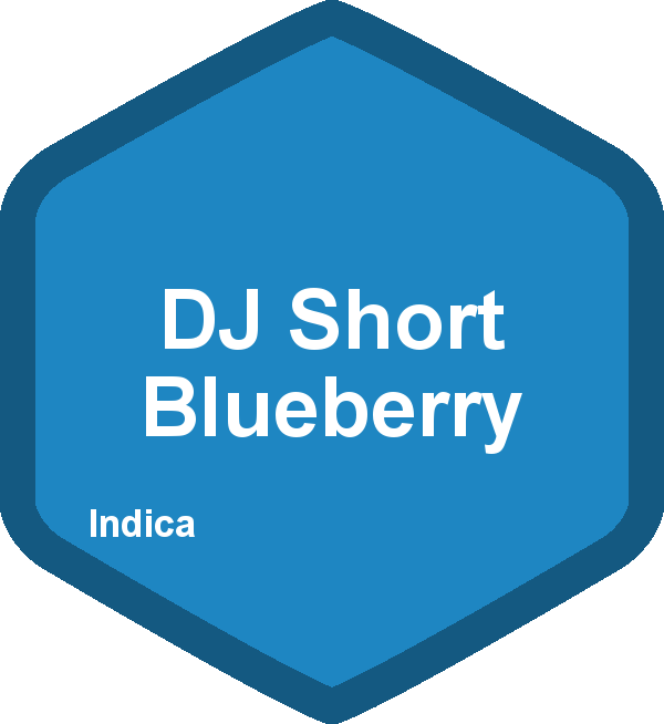 DJ Short Blueberry