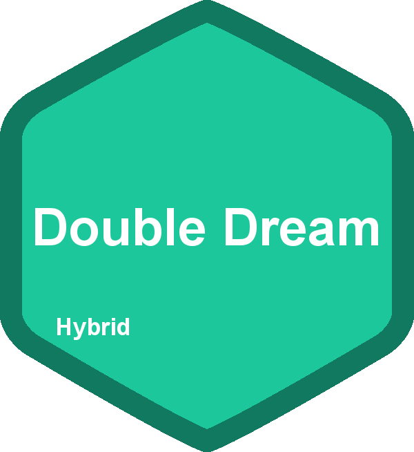 Double Dream