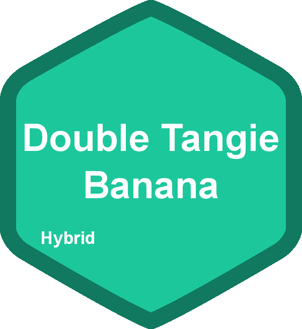 Double Tangie Banana
