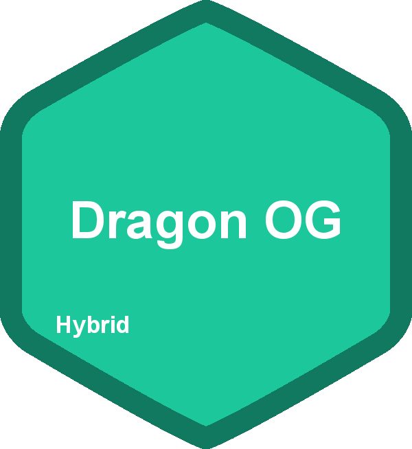 Dragon OG