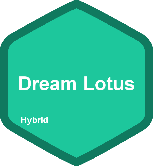 Dream Lotus