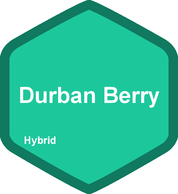 Durban Berry