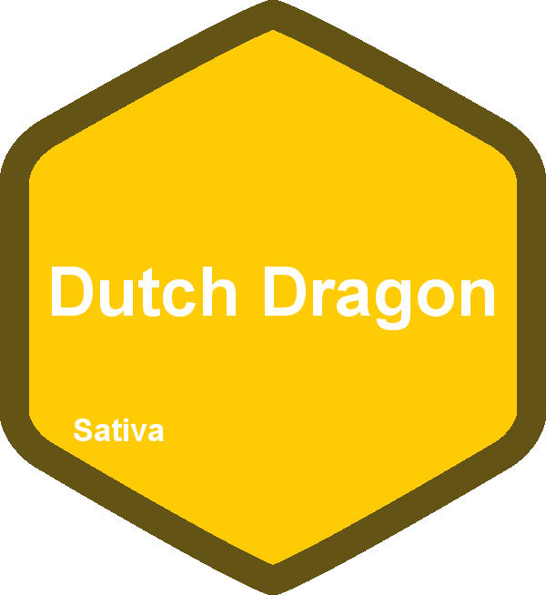 Dutch Dragon