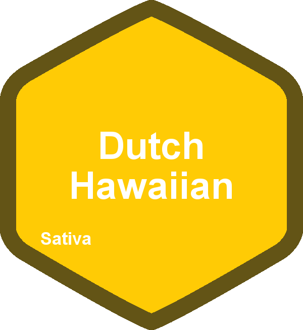 Dutch Hawaiian