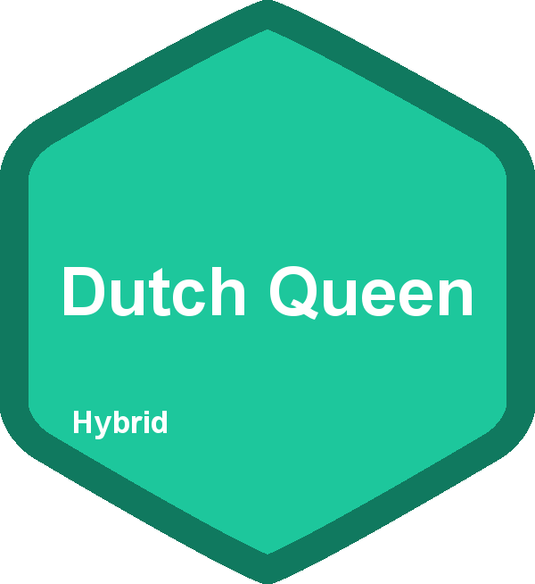 Dutch Queen