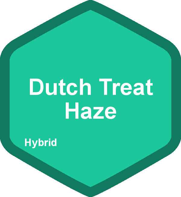 Dutch Treat Haze