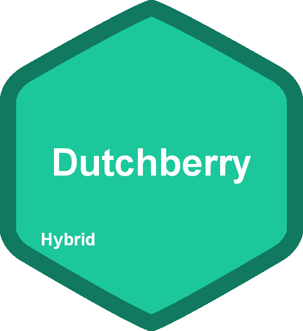 Dutchberry