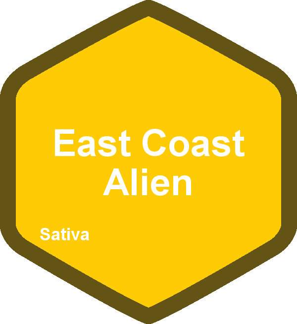 East Coast Alien