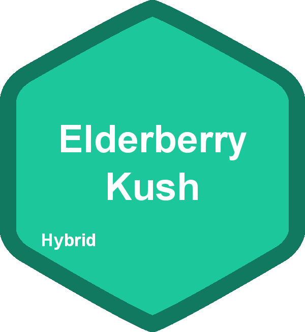 Elderberry Kush